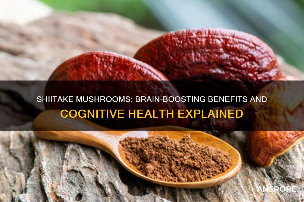 are shiitake mushrooms good for your brain