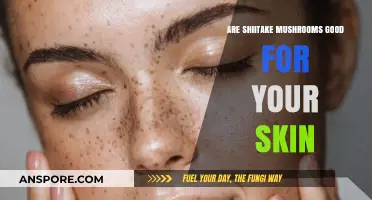 Shiitake Mushrooms: Unlocking Radiant Skin Benefits and Beauty Secrets