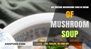 Shiitake Mushrooms in Cream of Mushroom Soup: A Flavorful Upgrade?