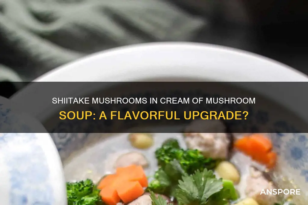 are shiitake mushrooms good in cream of mushroom soup