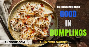 Shiitake Mushrooms in Dumplings: A Flavorful Addition or Overrated?