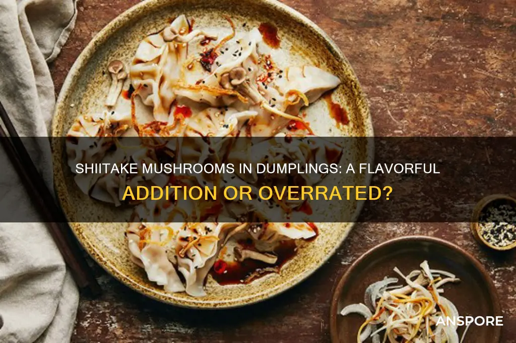 are shiitake mushrooms good in dumplings