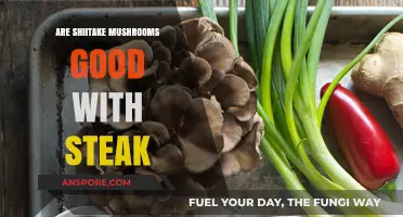Shiitake Mushrooms and Steak: A Perfect Culinary Match?