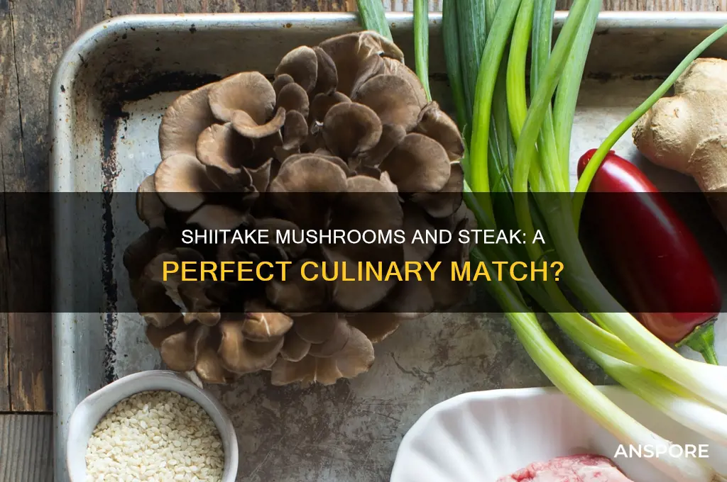 are shiitake mushrooms good with steak