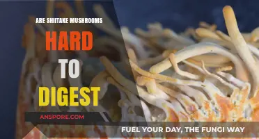 Shiitake Mushrooms: Easy or Hard to Digest?