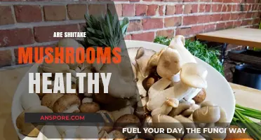 Shiitake Mushrooms: Healthy Superfood or Fad?