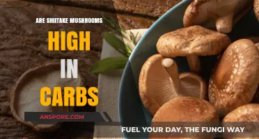 Shiitake Mushrooms: Carb Content and Health Benefits