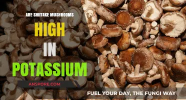 Shiitake Mushrooms: Potassium Powerhouses?