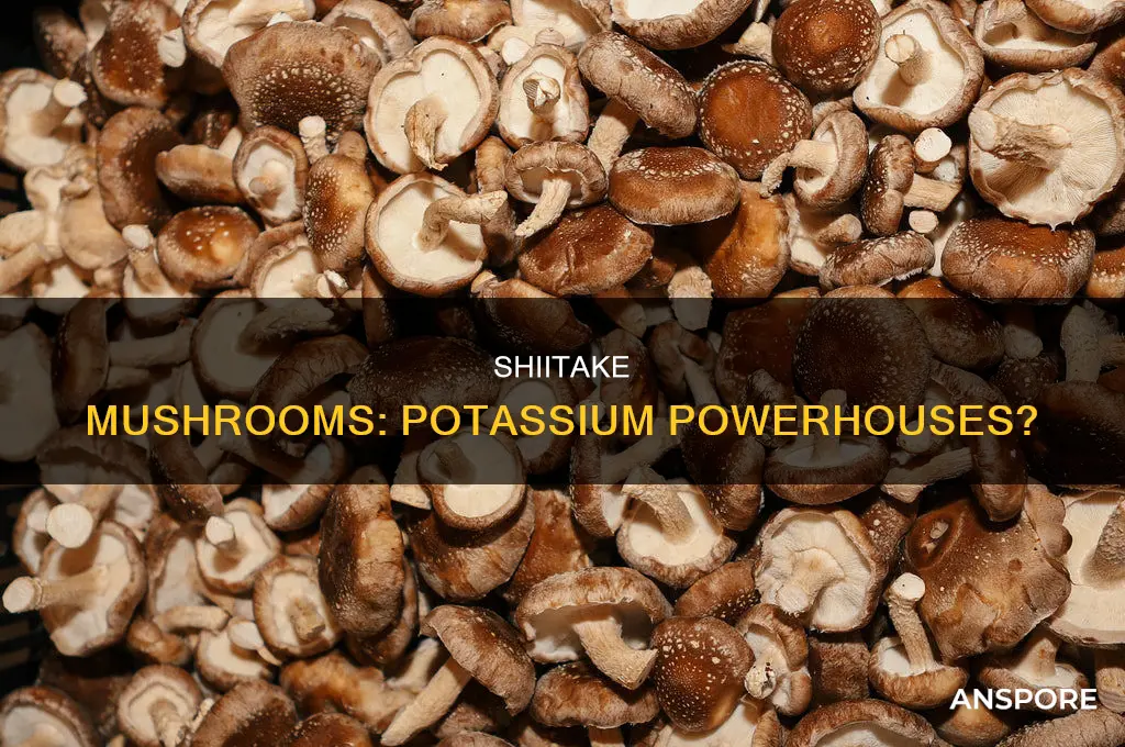 are shiitake mushrooms high in potassium