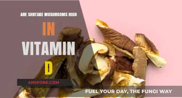 Shiitake Mushrooms: A Rich Vitamin D Source?