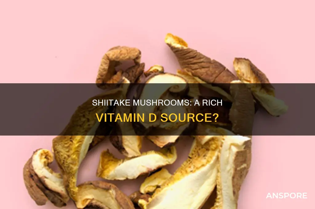 are shiitake mushrooms high in vitamin d
