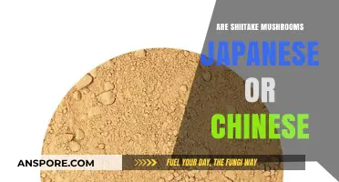 Shiitake Mushrooms: Japanese or Chinese?