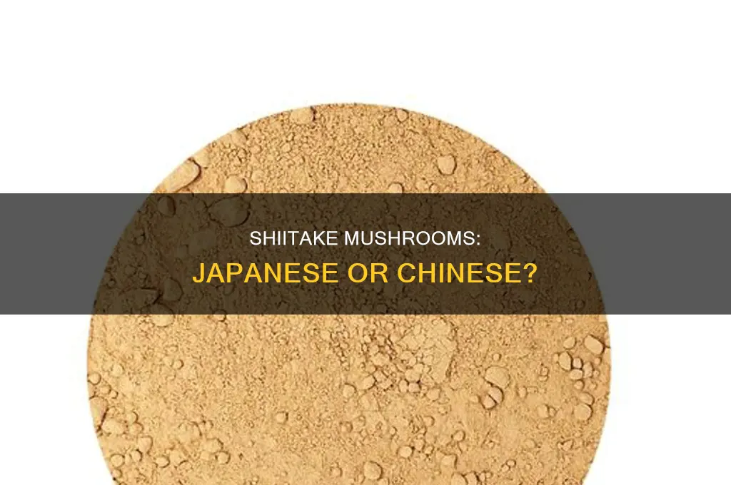 are shiitake mushrooms japanese or chinese