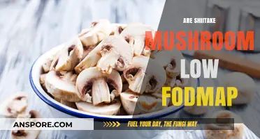 Shiitake Mushrooms: Low FODMAP Superfood?