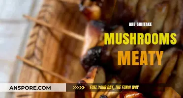 Shiitake Mushrooms: A Meaty Texture and Taste