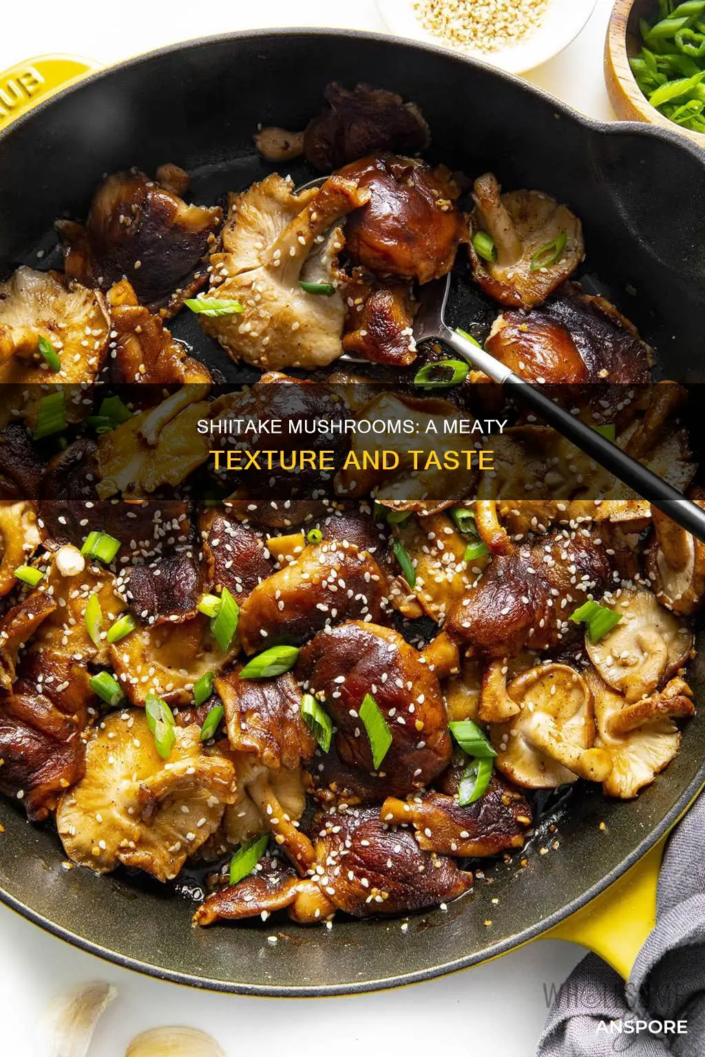 are shiitake mushrooms meaty