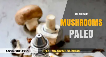 Shiitake Mushrooms: Paleo-Friendly Superfood?