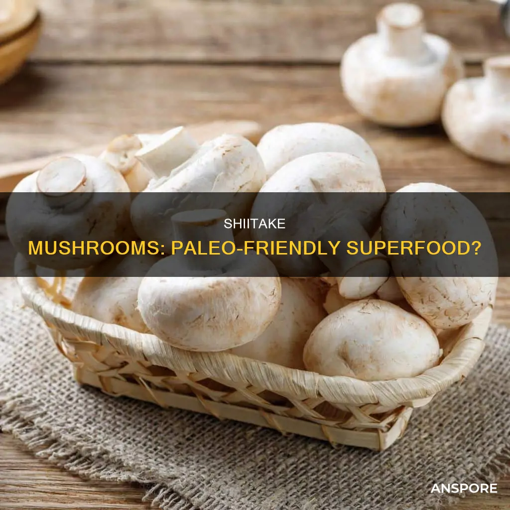 are shiitake mushrooms paleo