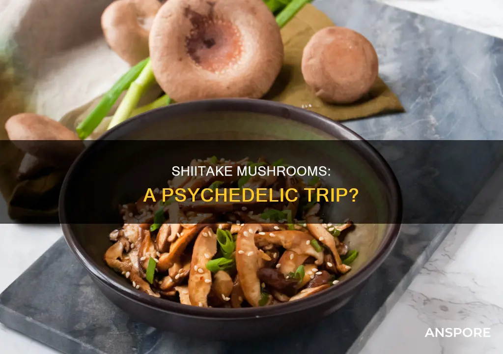 are shiitake mushrooms psychedelic