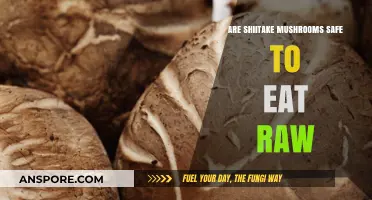 Can You Eat Shiitake Mushrooms Raw? Safety and Tips