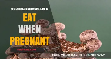 Shiitake Mushrooms and Pregnancy: Safe or Risky for Expecting Moms?