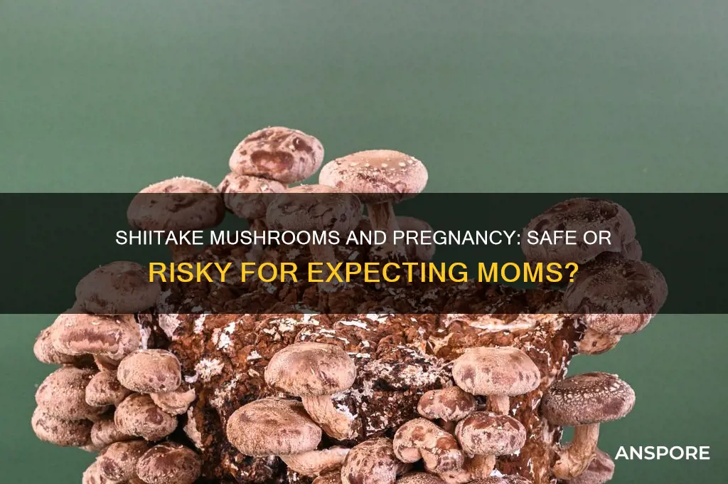 are shiitake mushrooms safe to eat when pregnant