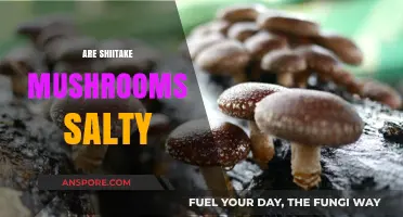 Shiitake Mushrooms: Salty or Not?