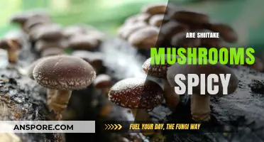 Shiitake Mushrooms: Spicy or Not?