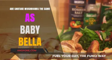 Shiitake and Baby Bella: What's the Difference?