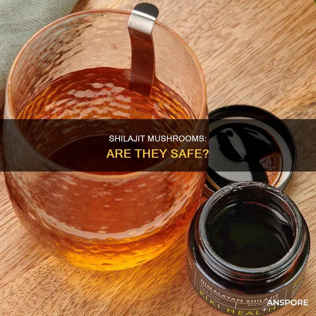 are shilajit mushrooms clean