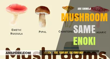 Shimeji and Enoki Mushrooms: What's the Difference?