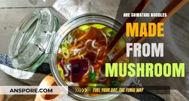 Shirataki Noodles: Mushroom-Based or Not?