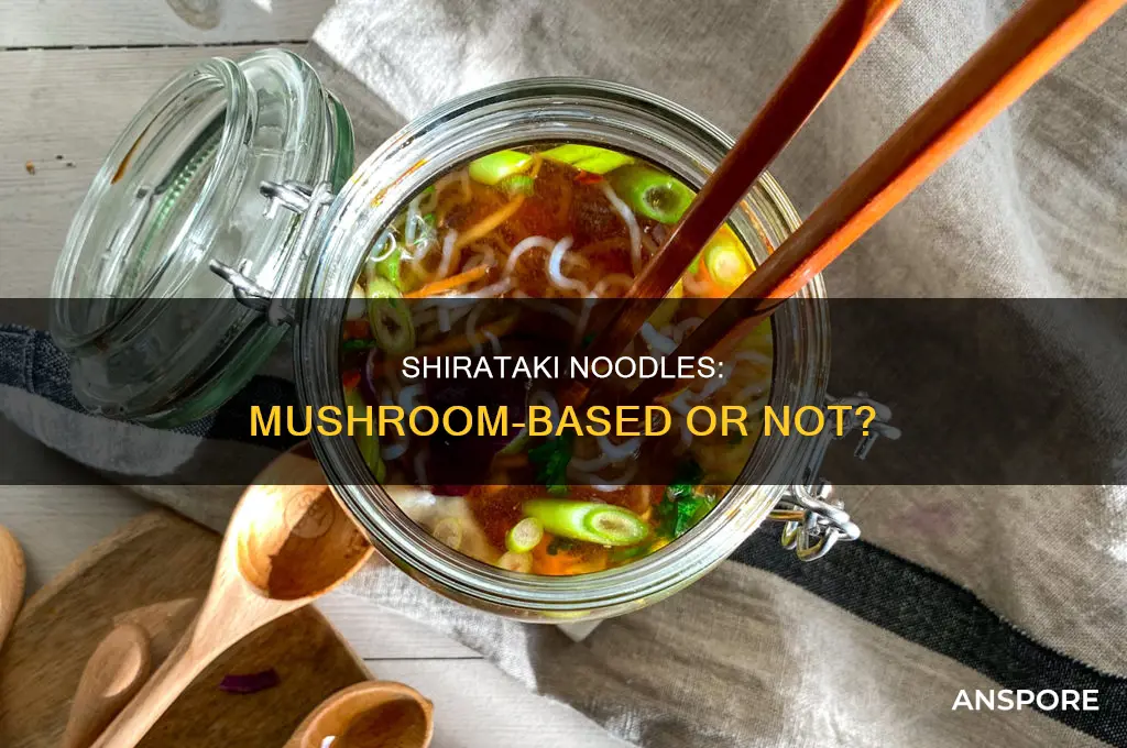 are shirataki noodles made from mushrooms