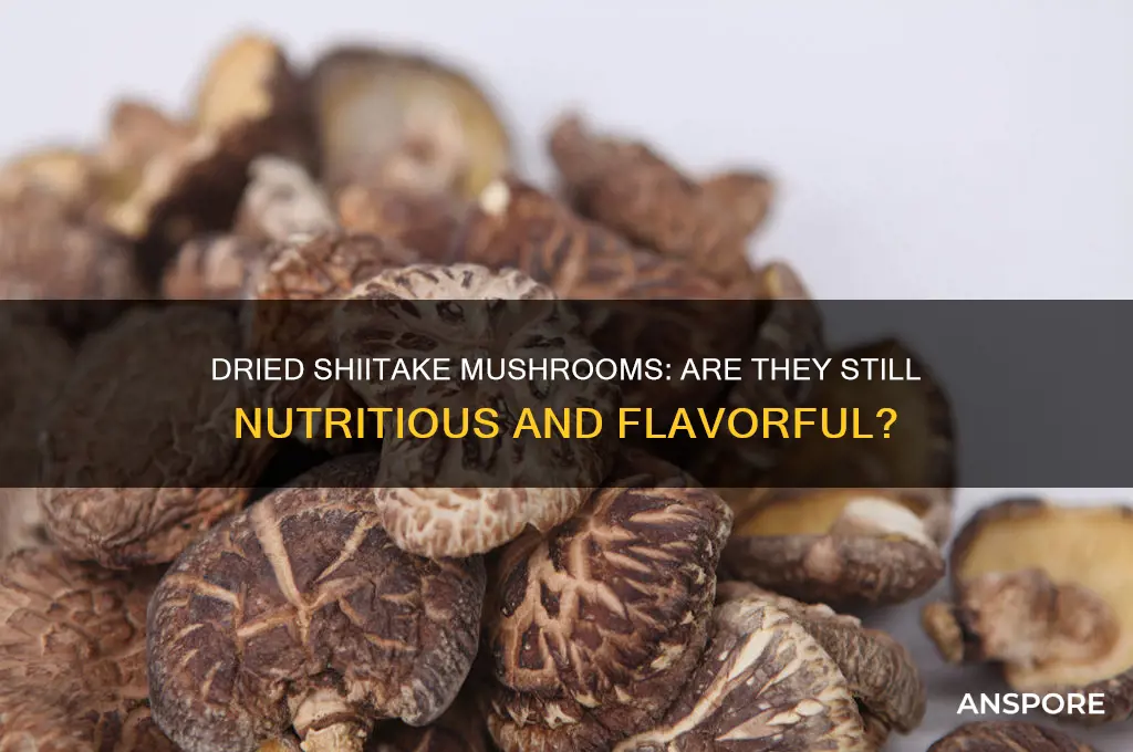 are shitake mushrooms any good once they dry out