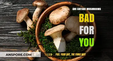 Are Shiitake Mushrooms Harmful? Uncovering the Truth About Their Health Effects