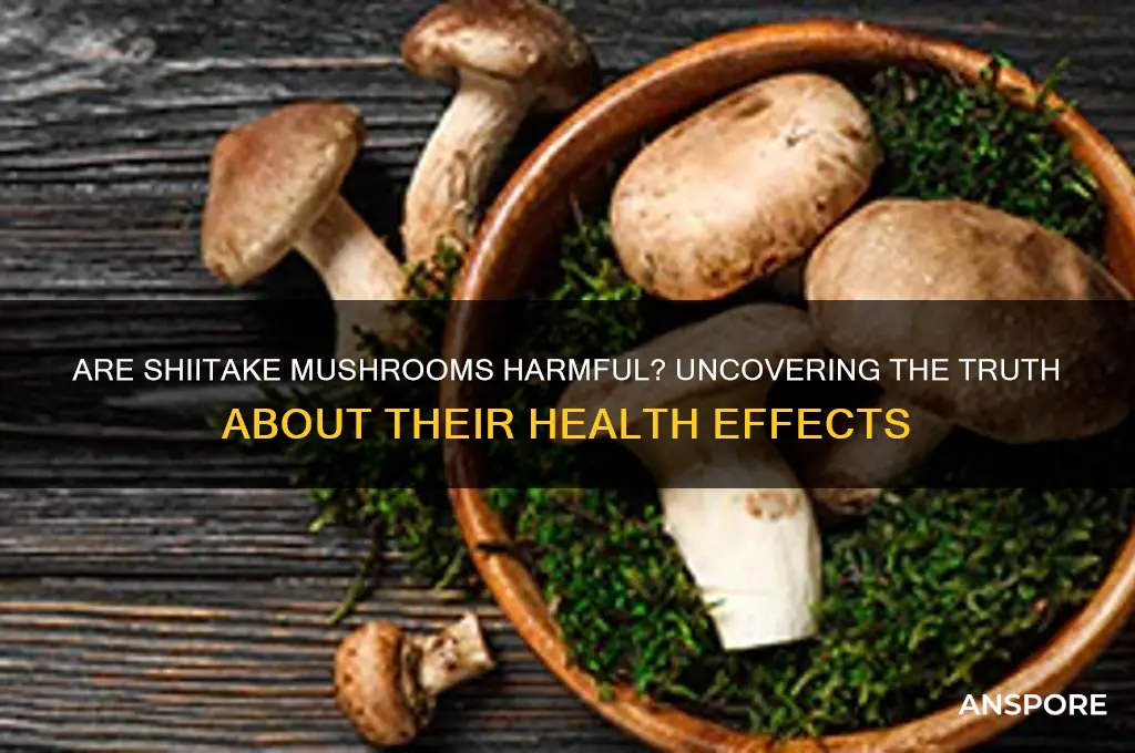 are shitake mushrooms bad for you