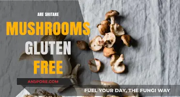 Shiitake Mushrooms: Gluten-Free Superfood?
