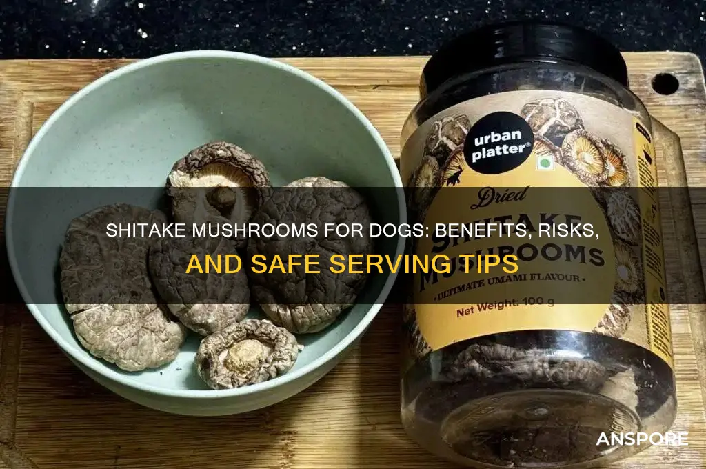 are shitake mushrooms good for dogs