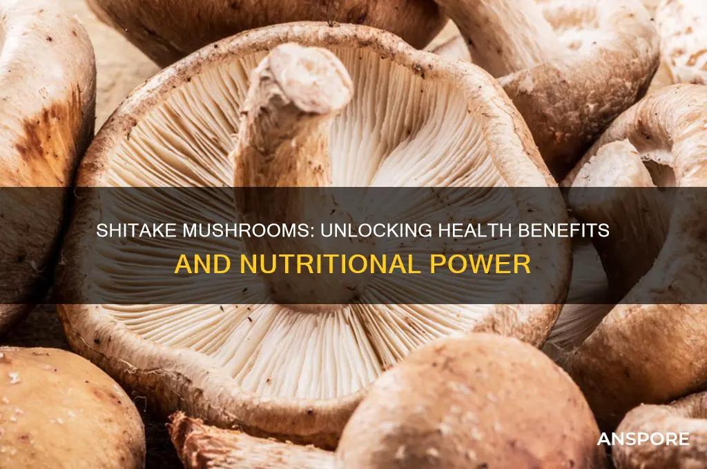 are shitake mushrooms good for you