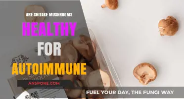 Shiitake Mushrooms: Autoimmune Health Benefits?