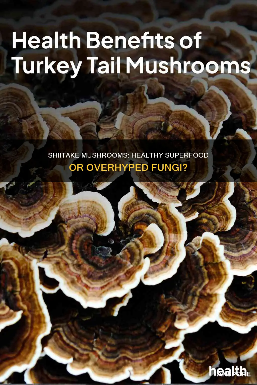 are shitake mushrooms healthy