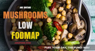 Shitake Mushrooms: Low FODMAP Superfood?