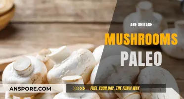 Shiitake Mushrooms: Paleo-Friendly Superfood?