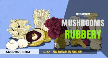 Chewy or Tender? The Texture of Shiitake Mushrooms