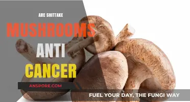 Shittake Mushrooms: Cancer-Fighting Superfood?