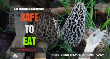 Shriveled Mushrooms: Are They Safe to Eat or Toss?