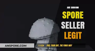 Are Shroom Spore Sellers Legitimate? Uncovering the Truth Behind the Hype