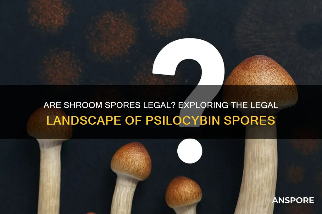 are shroom spores legal