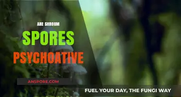 Are Shroom Spores Psychoactive? Unraveling the Truth Behind the Myth