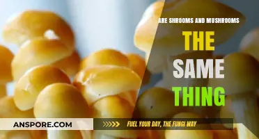 Shrooms and Mushrooms: What's the Difference?